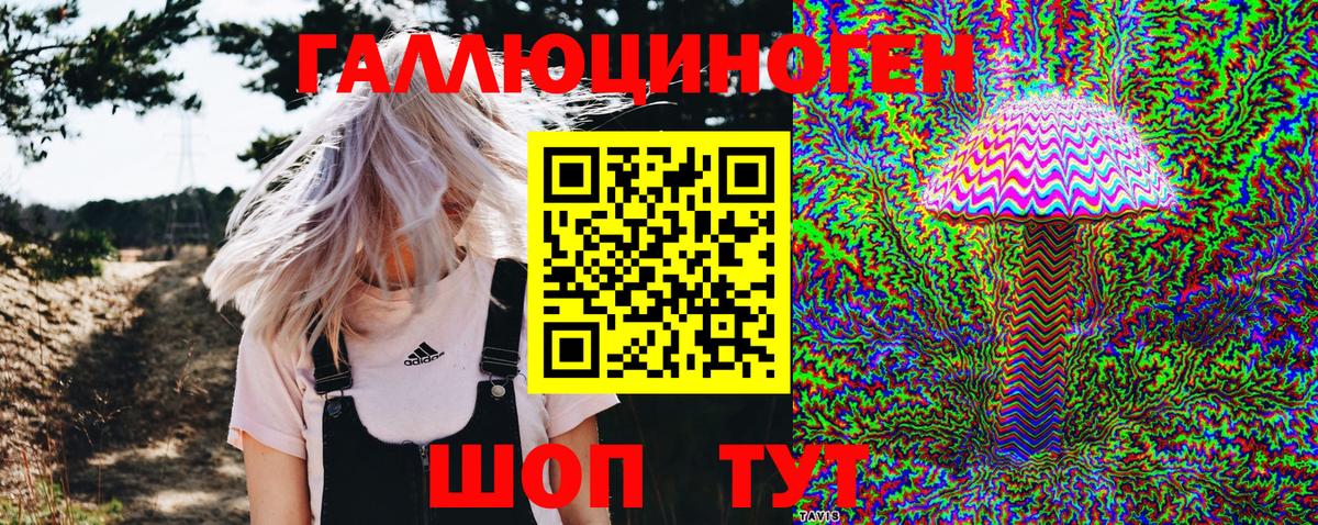 Псилоцибиновые грибы Psilocybe Ленинск-Кузнецкий