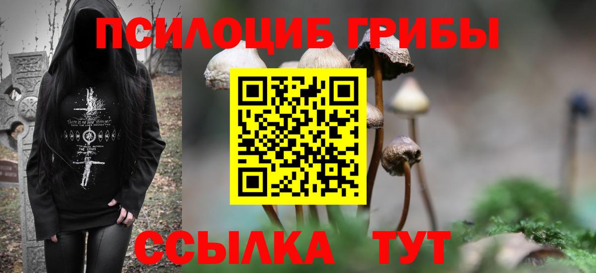 Галлюциногенные грибы ЛСД  Галлюциногенные грибы Magic Shrooms  Ленинск-Кузнецкий  как найти закладки  Вход с VPN 