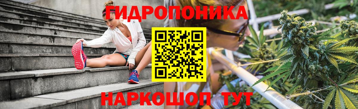 Канабис Bruce Banner Ленинск-Кузнецкий